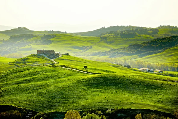 Campo, San Quirico Orcia, Toscana, Itália — Fotografia de Stock