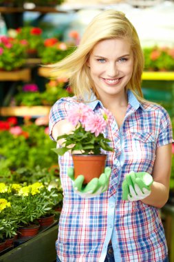 kadın için alışveriş ve bitkilerde Bahçe Merkezi bakarak