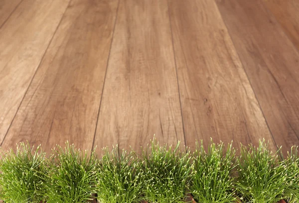 Gardening background — Stock Photo, Image