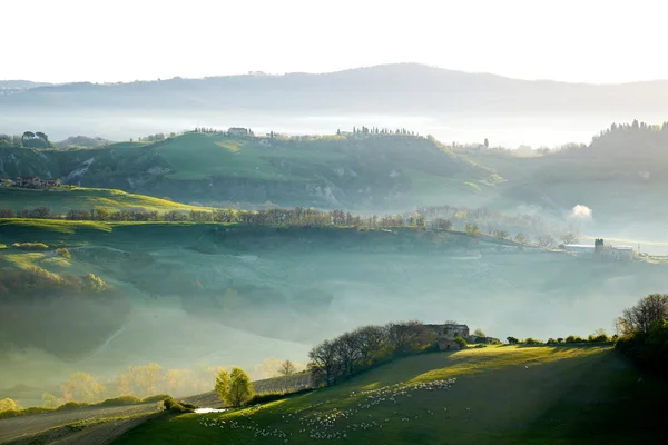 イタリアの美しいトスカーナの丘 — ストック写真
