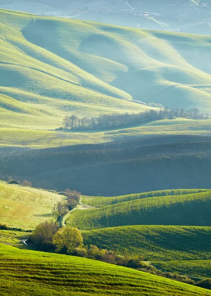 Toskánsku hills — Stock fotografie