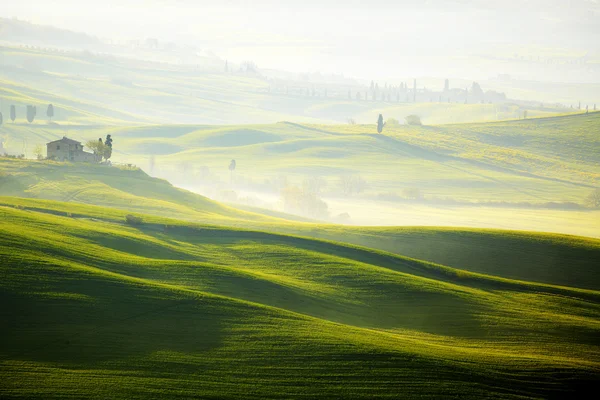 Morgon på landsbygden i Toscana — Stockfoto