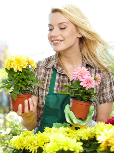 Frau hält lächelnd einen Blumenkasten — Stockfoto