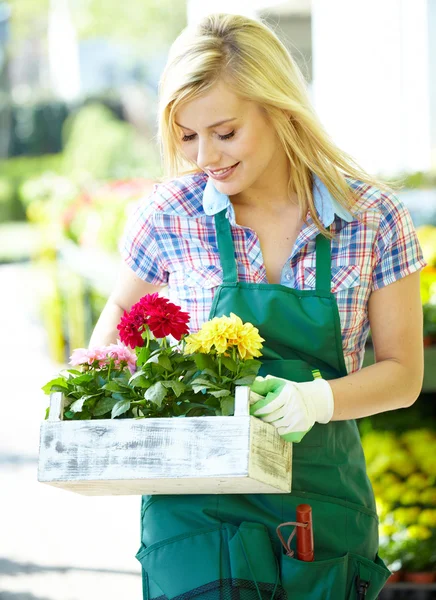 Vrouw met een plantenbak terwijl glimlachen — Stockfoto