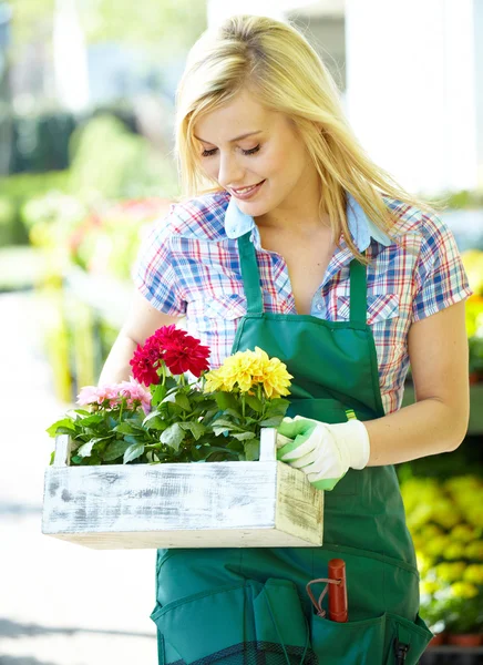 Frau hält lächelnd einen Blumenkasten — Stockfoto