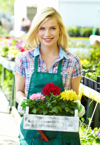Frau hält lächelnd einen Blumenkasten — Stockfoto