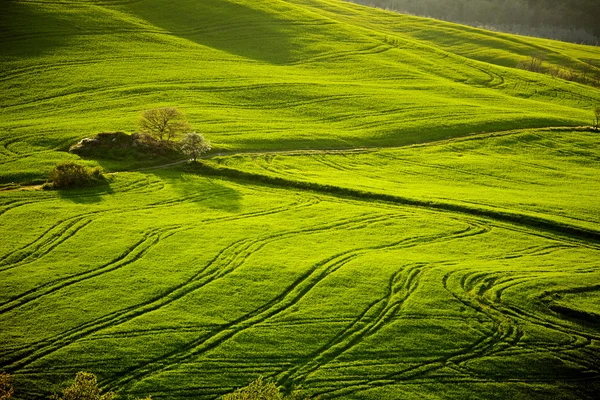 Landschaft, San Quirico d 'orcia, Toskana, Italien — Stockfoto