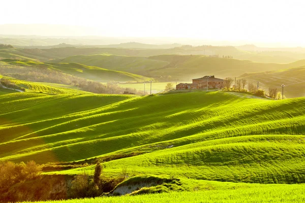 Platteland, San Quirico d'Orcia, Toscane, Italië — Stockfoto