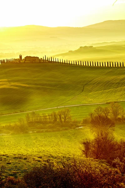 Venkově, San Quirico d'Orcia, Toskánsko, Itálie — Stock fotografie