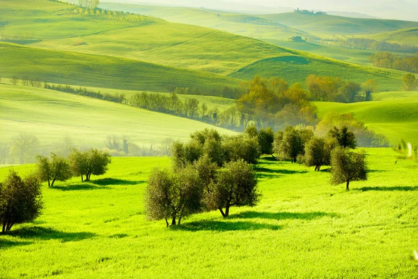农村，San Quirico 奥斯塔山谷，托斯卡纳意大利 — 图库照片