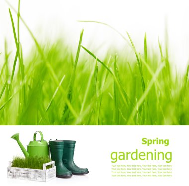 Bahçe pansiyon konsepti