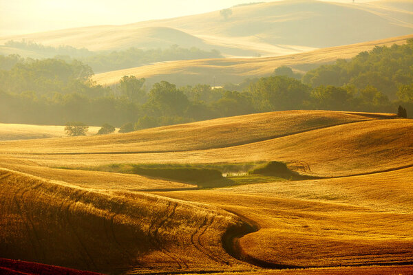 Vista del paisaje típico de Toscana — Foto de Stock