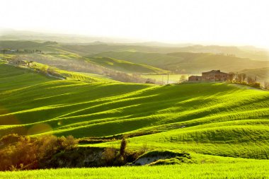 kırsal, San Quirico dOrcia, toskana, italya
