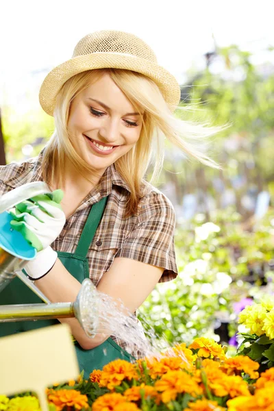 Floristas mujer trabajando con flores en un invernadero. —  Fotos de Stock