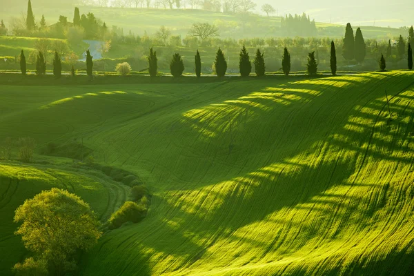 Venkově, San Quirico d'Orcia, Toskánsko, Itálie — Stock fotografie