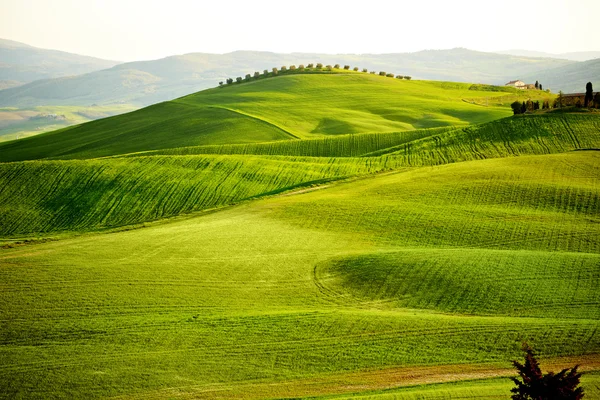 Platteland, San Quirico d'Orcia, Toscane, Italië — Stockfoto