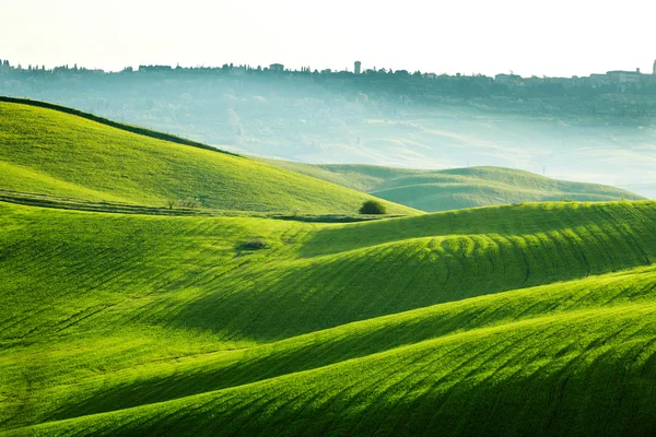 Platteland, San Quirico d'Orcia, Toscane, Italië — Stockfoto