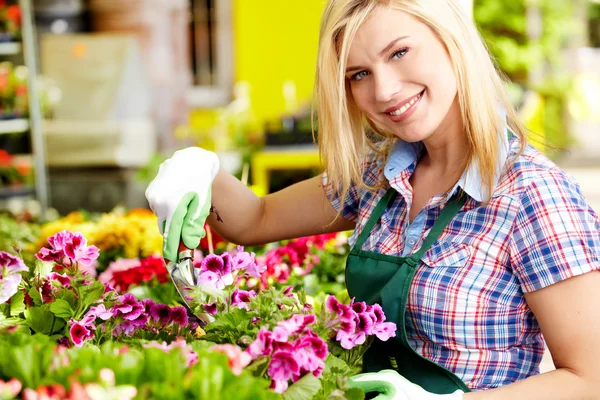 Floristas mujer trabajando con flores en un invernadero. —  Fotos de Stock