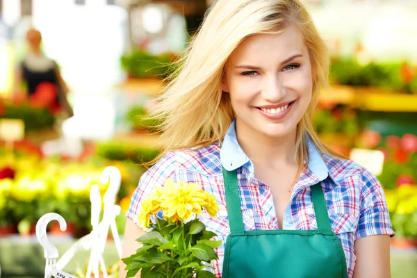 Floristin arbeitet mit Blumen in einem Gewächshaus. — Stockfoto