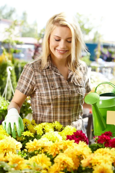 Floristería o jardinero femenino en floristería o vivero —  Fotos de Stock