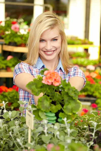 Floristas mujer trabajando con flores en un invernadero. —  Fotos de Stock
