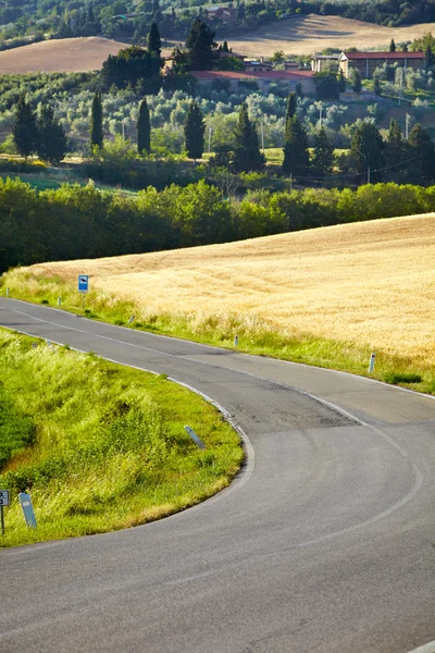 Paysage typique en Val d'Orcia (Toscane, Italie) en été. Ro — Photo