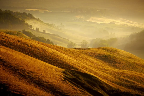 Vista del paisaje típico de Toscana —  Fotos de Stock