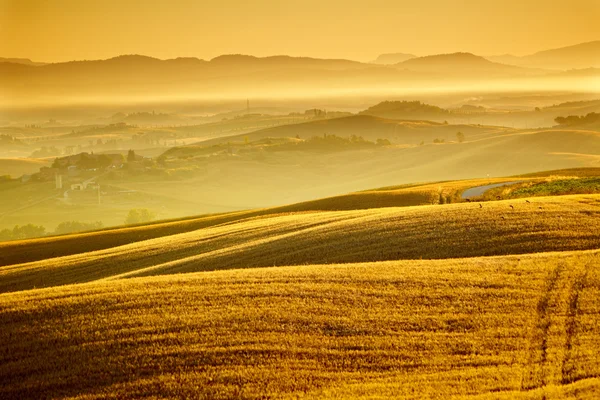 Paysage toscan au printemps — Photo