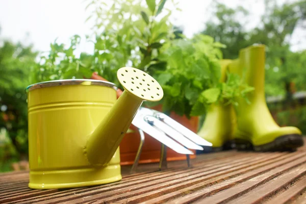 Strumenti di giardinaggio — Foto Stock