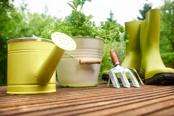 Strumenti di giardinaggio — Foto Stock