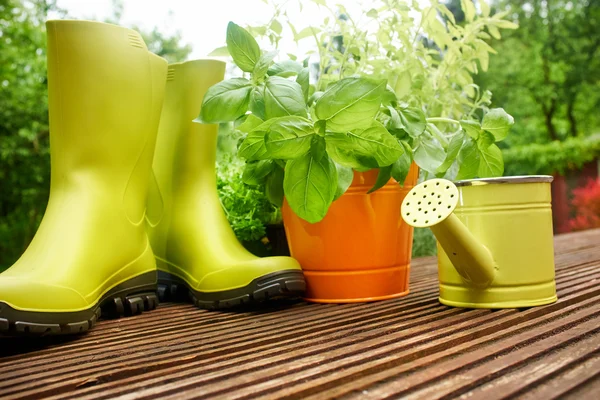Herramientas de jardinería — Foto de Stock