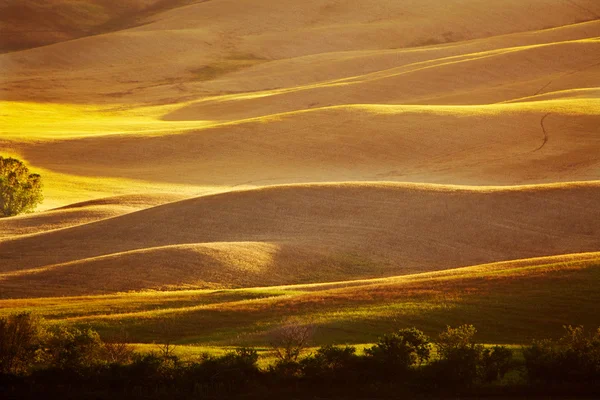 Naturskön utsikt över typiskt Toscana landskap, Italien — Stockfoto