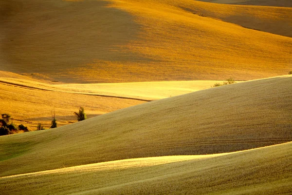 Vista panorâmica da paisagem típica da Toscana, Itália — Fotografia de Stock