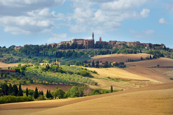 Val d'Orcia yaz, tipik peyzaj. Pienza giden yol — Stok fotoğraf