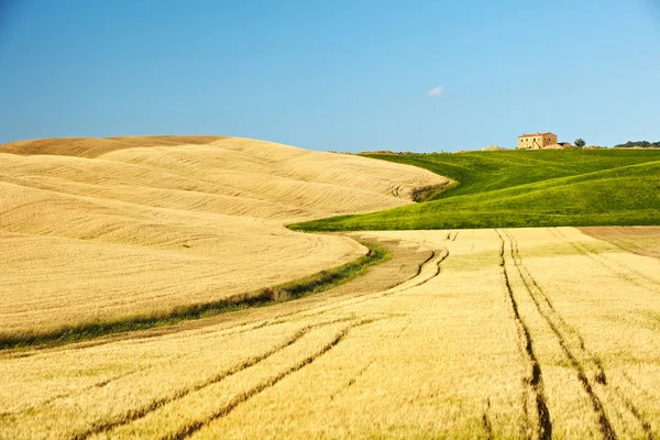 Jordbruk torraka bakgrund i Toscana Stockbild
