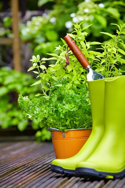 Gummistövlar i trä terrass — Stockfoto