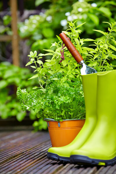 Rubber boots in wood terrace