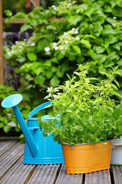 Concetto di giardinaggio e hobby — Foto Stock