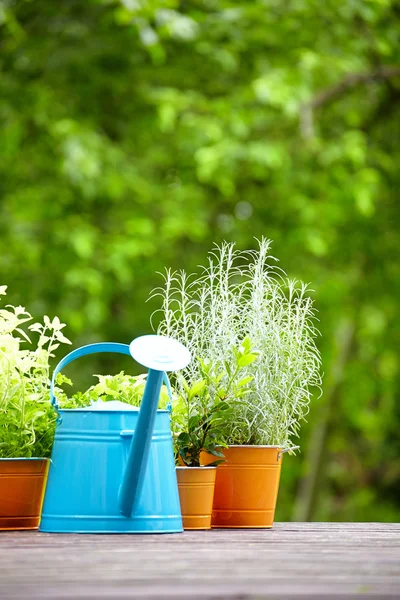 Concepto de jardinería y hobby — Foto de Stock