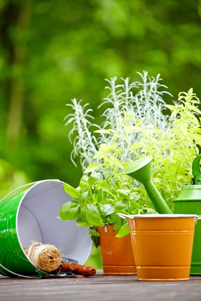 Concetto di giardinaggio e hobby — Foto Stock