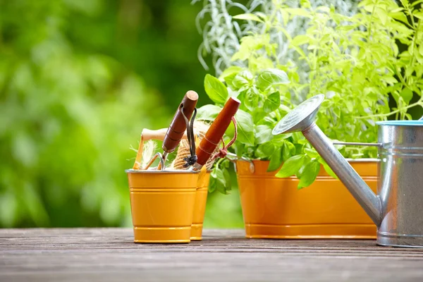 Concepto de jardinería y hobby — Foto de Stock