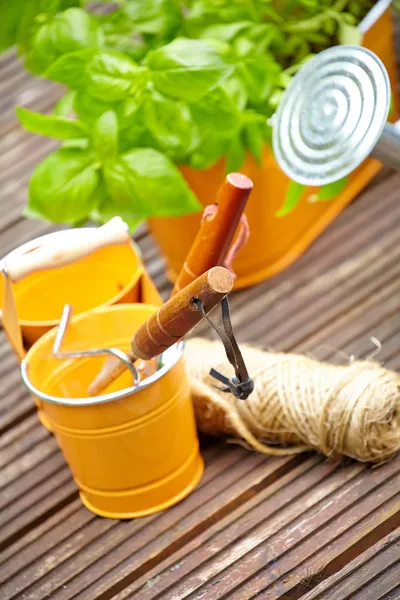 Concepto de jardinería y hobby — Foto de Stock