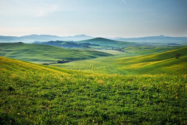 Morgen auf dem Land in der Toskana — Stockfoto