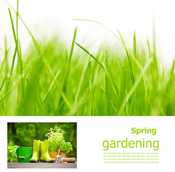 Gardening board concept — Stock Photo, Image