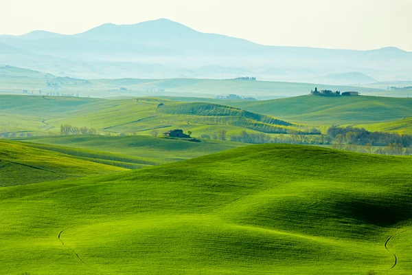 Вранці на сільській місцевості в Тоскані — стокове фото