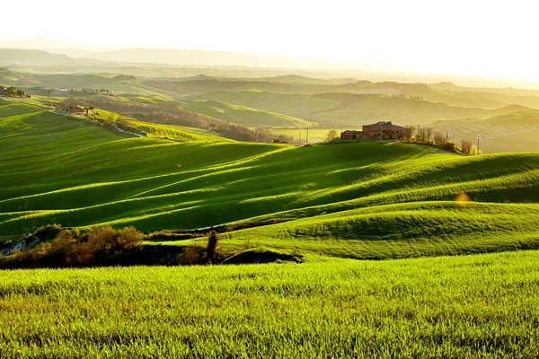 Утро в сельской местности Тосканы — стоковое фото