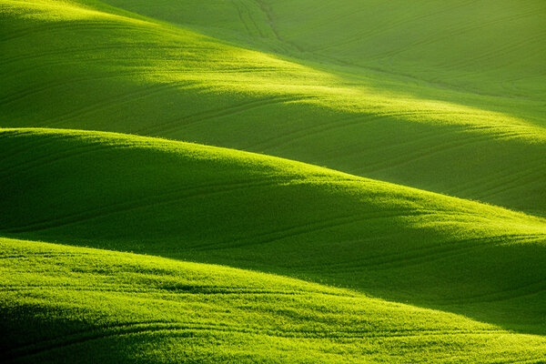 Катящиеся зеленые холмы
