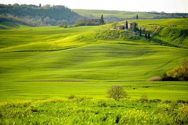 Ochtend op platteland in Toscane — Stockfoto