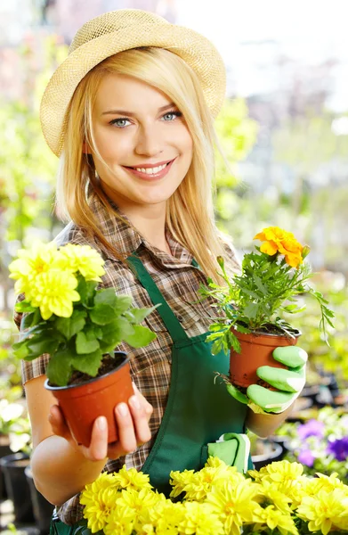 Květinářství žena pracuje s květinami ve skleníku. — Stock fotografie
