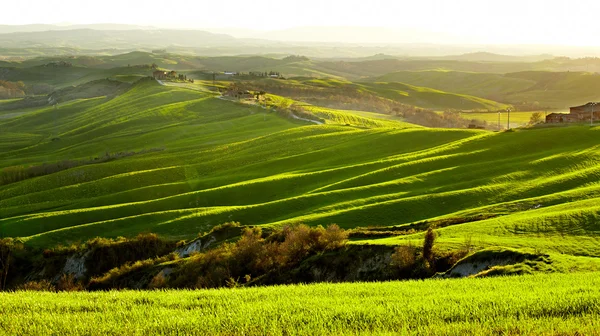 Morning on countryside in Tuscany Royalty Free Stock Images